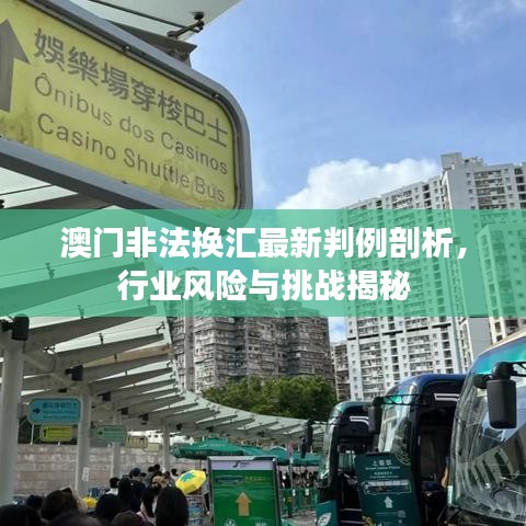澳门非法换汇最新判例剖析，行业风险与挑战揭秘