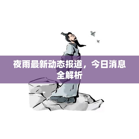 夜雨最新动态报道，今日消息全解析