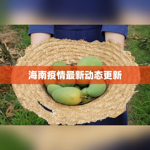 海南疫情最新动态更新