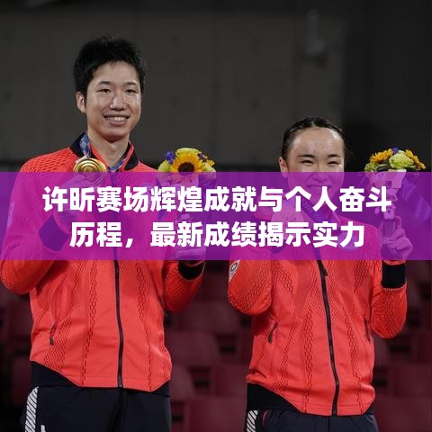 许昕赛场辉煌成就与个人奋斗历程，最新成绩揭示实力