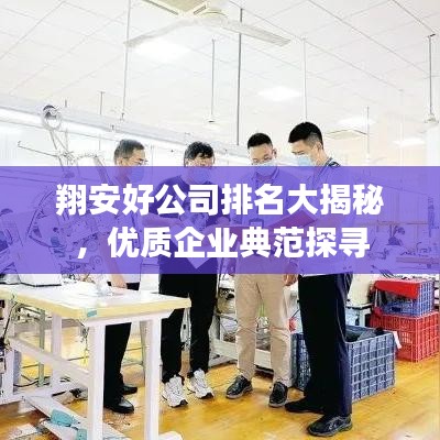 翔安好公司排名大揭秘，优质企业典范探寻