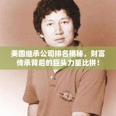 美国继承公司排名揭秘，财富传承背后的巨头力量比拼！