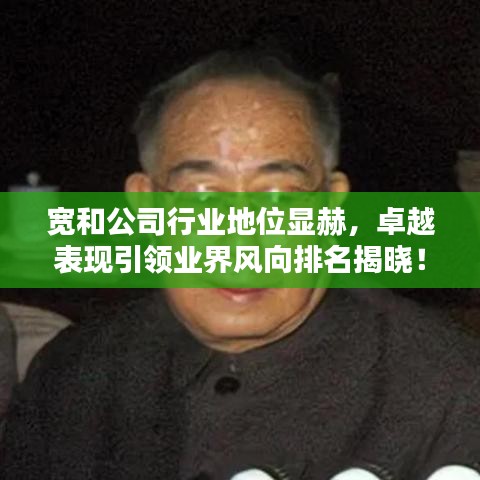 宽和公司行业地位显赫，卓越表现引领业界风向排名揭晓！