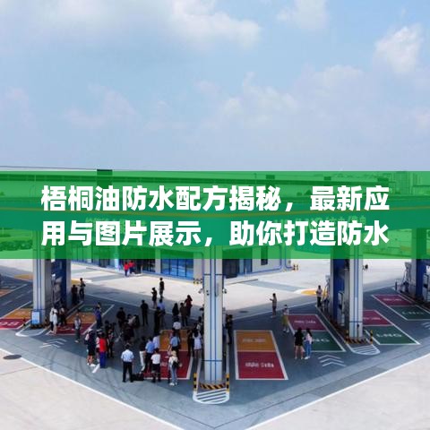梧桐油防水配方揭秘，最新应用与图片展示，助你打造防水防护墙！
