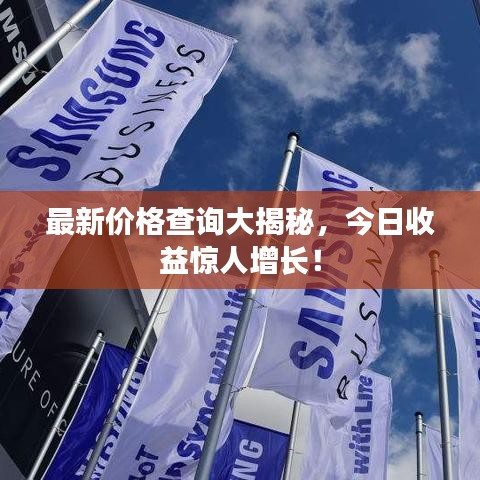 最新价格查询大揭秘，今日收益惊人增长！