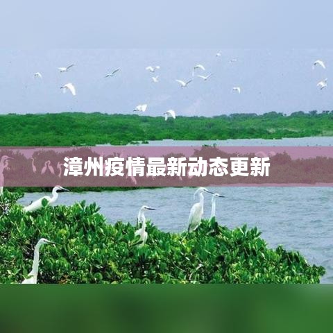 漳州疫情最新动态更新
