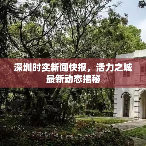深圳时实新闻快报，活力之城最新动态揭秘