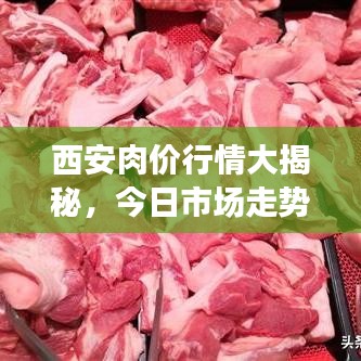 西安肉价行情大揭秘，今日市场走势分析报告