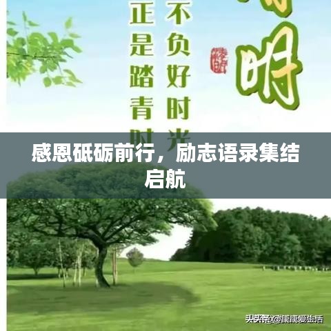 感恩砥砺前行，励志语录集结启航