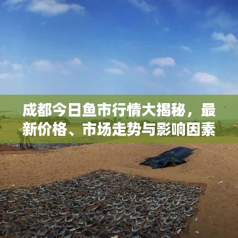 成都今日鱼市行情大揭秘，最新价格、市场走势与影响因素深度解析