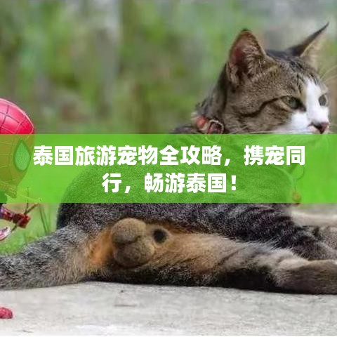2025年5月4日 第34页