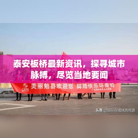 泰安板桥最新资讯，探寻城市脉搏，尽览当地要闻