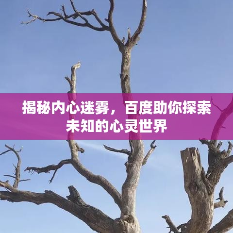 揭秘内心迷雾，百度助你探索未知的心灵世界