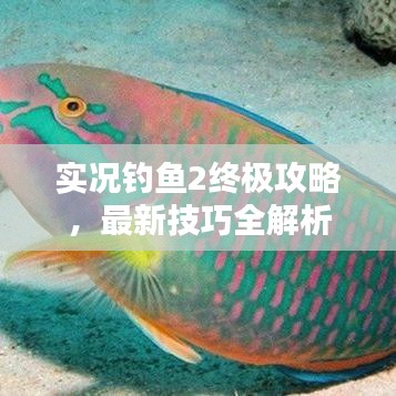 实况钓鱼2终极攻略，最新技巧全解析