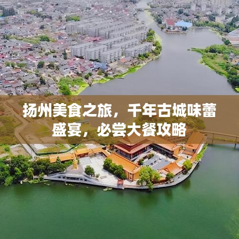 扬州美食之旅，千年古城味蕾盛宴，必尝大餐攻略