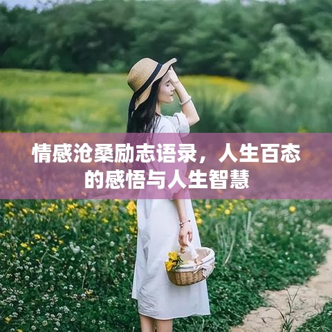 情感沧桑励志语录，人生百态的感悟与人生智慧