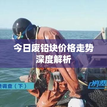 今日废铅块价格走势深度解析