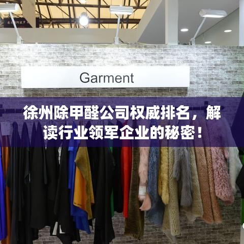 徐州除甲醛公司权威排名，解读行业领军企业的秘密！