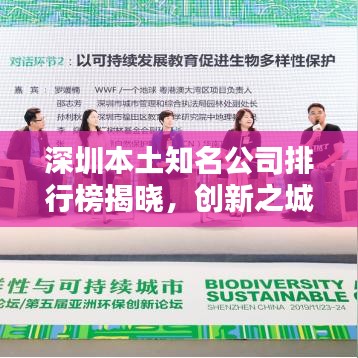 深圳本土知名公司排行榜揭晓，创新之城的商业巨头浮出水面