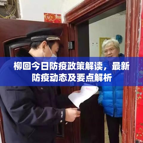 柳回今日防疫政策解读，最新防疫动态及要点解析