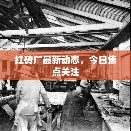 红砖厂最新动态，今日焦点关注