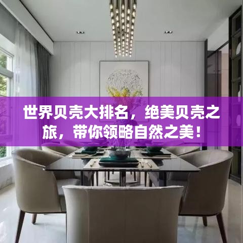 世界贝壳大排名，绝美贝壳之旅，带你领略自然之美！