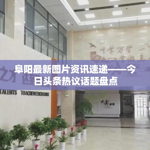 阜阳最新图片资讯速递——今日头条热议话题盘点