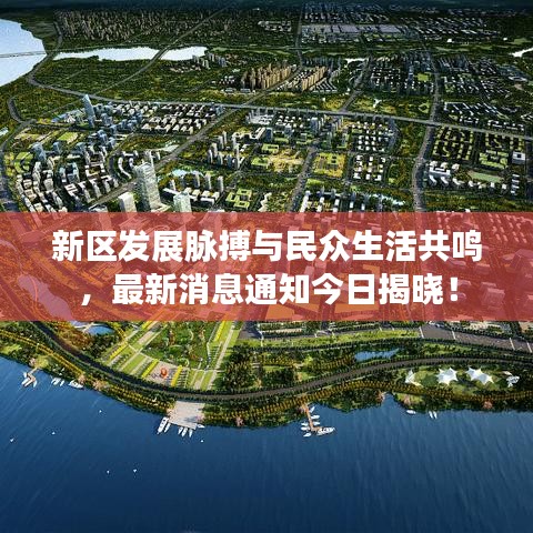 新区发展脉搏与民众生活共鸣，最新消息通知今日揭晓！
