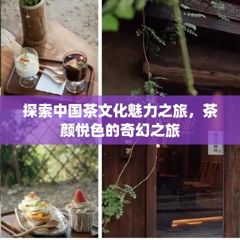 探索中国茶文化魅力之旅，茶颜悦色的奇幻之旅
