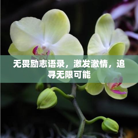 无畏励志语录，激发激情，追寻无限可能