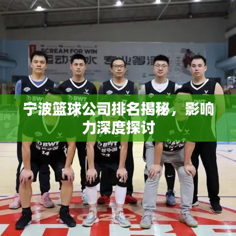宁波篮球公司排名揭秘，影响力深度探讨