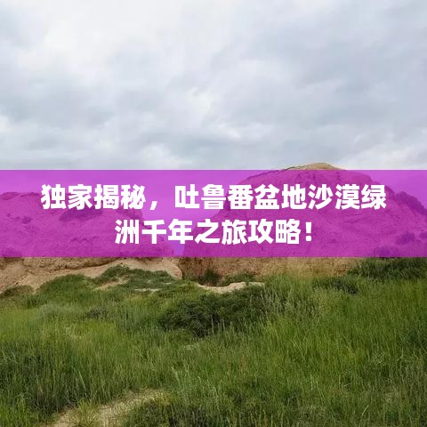 独家揭秘，吐鲁番盆地沙漠绿洲千年之旅攻略！