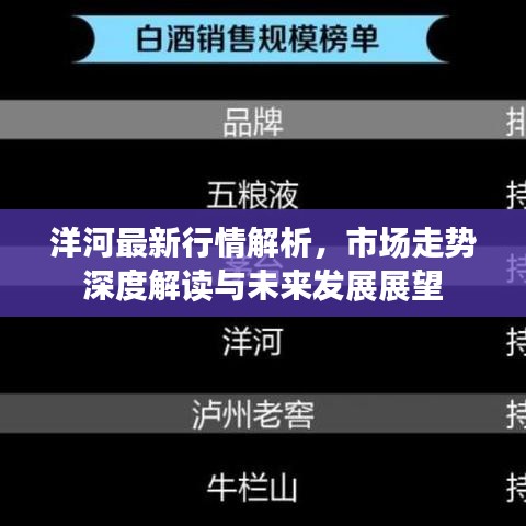 洋河最新行情解析，市场走势深度解读与未来发展展望