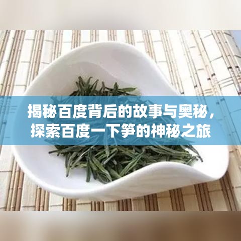 揭秘百度背后的故事与奥秘，探索百度一下笋的神秘之旅