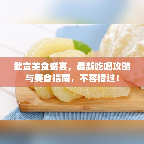 武宣美食盛宴，最新吃喝攻略与美食指南，不容错过！