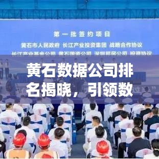 黄石数据公司排名揭晓，引领数字时代的先锋企业全景概览