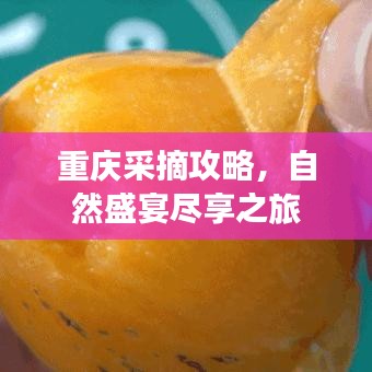 重庆采摘攻略，自然盛宴尽享之旅