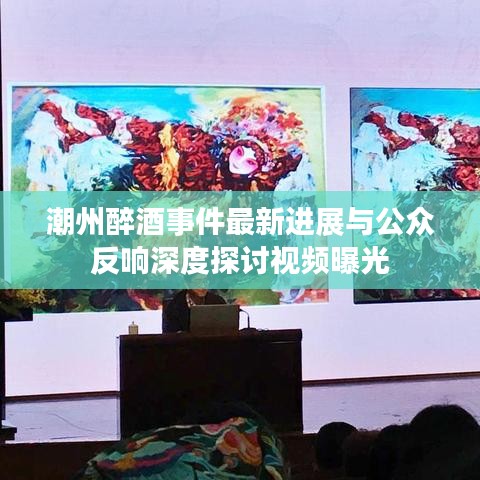 潮州醉酒事件最新进展与公众反响深度探讨视频曝光