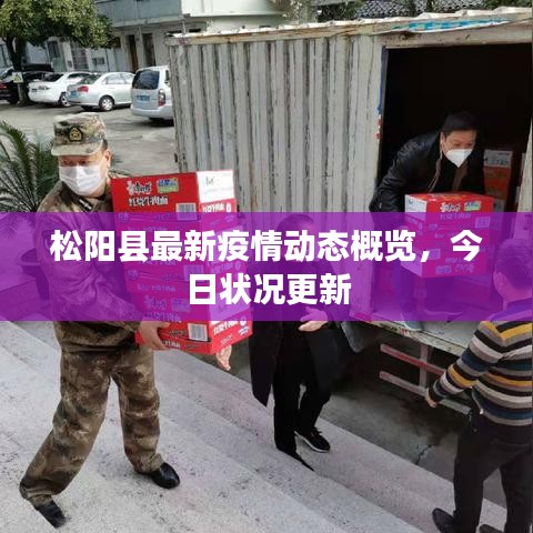 松阳县最新疫情动态概览，今日状况更新