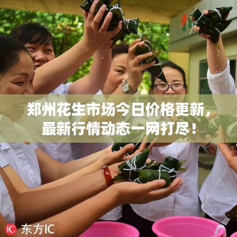 郑州花生市场今日价格更新，最新行情动态一网打尽！