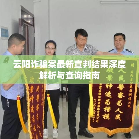 云阳诈骗案最新宣判结果深度解析与查询指南