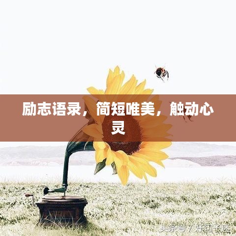 励志语录，简短唯美，触动心灵