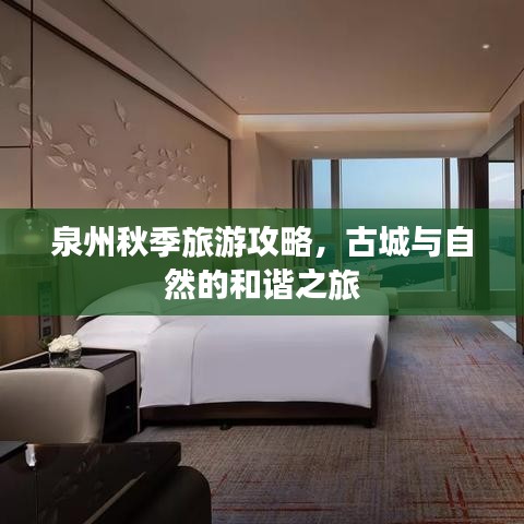 泉州秋季旅游攻略，古城与自然的和谐之旅