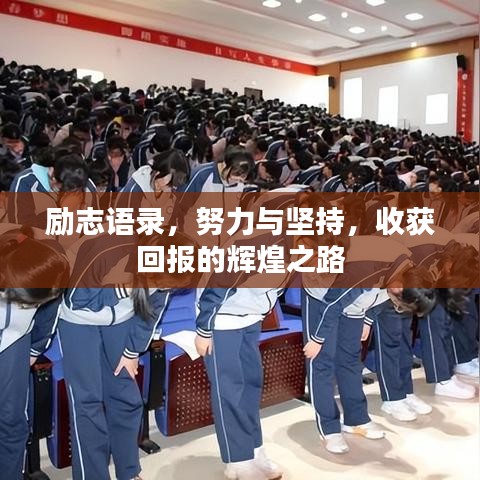 励志语录，努力与坚持，收获回报的辉煌之路