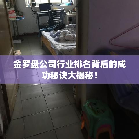金罗盘公司行业排名背后的成功秘诀大揭秘！