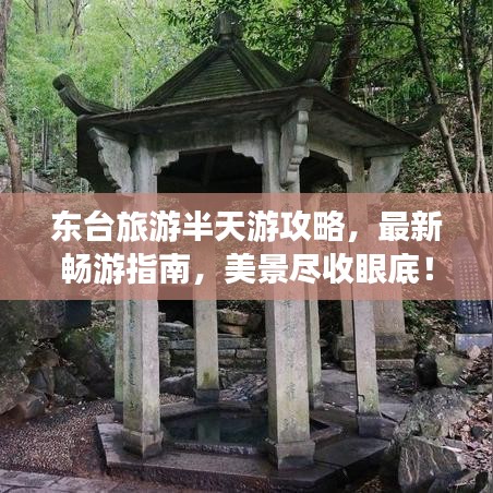 东台旅游半天游攻略，最新畅游指南，美景尽收眼底！
