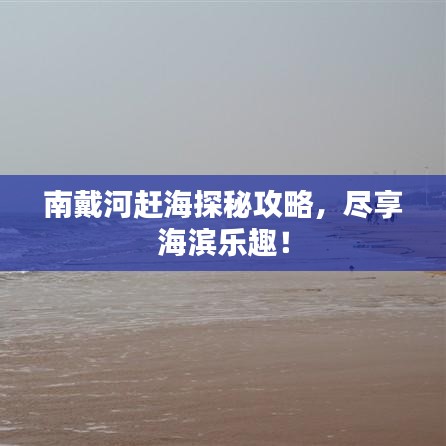 南戴河赶海探秘攻略，尽享海滨乐趣！