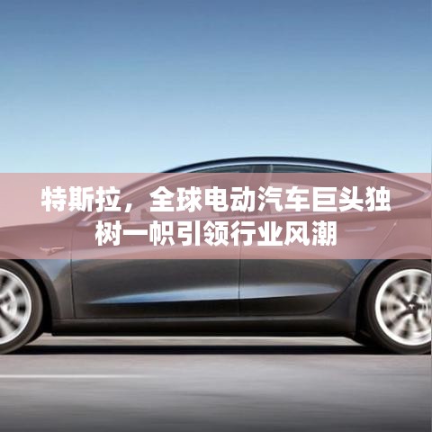 特斯拉，全球电动汽车巨头独树一帜引领行业风潮