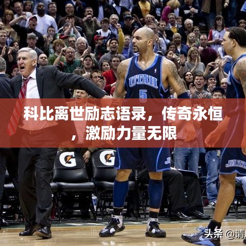 科比离世励志语录，传奇永恒，激励力量无限