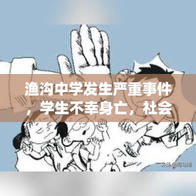 渔沟中学发生严重事件，学生不幸身亡，社会关注背后的深思